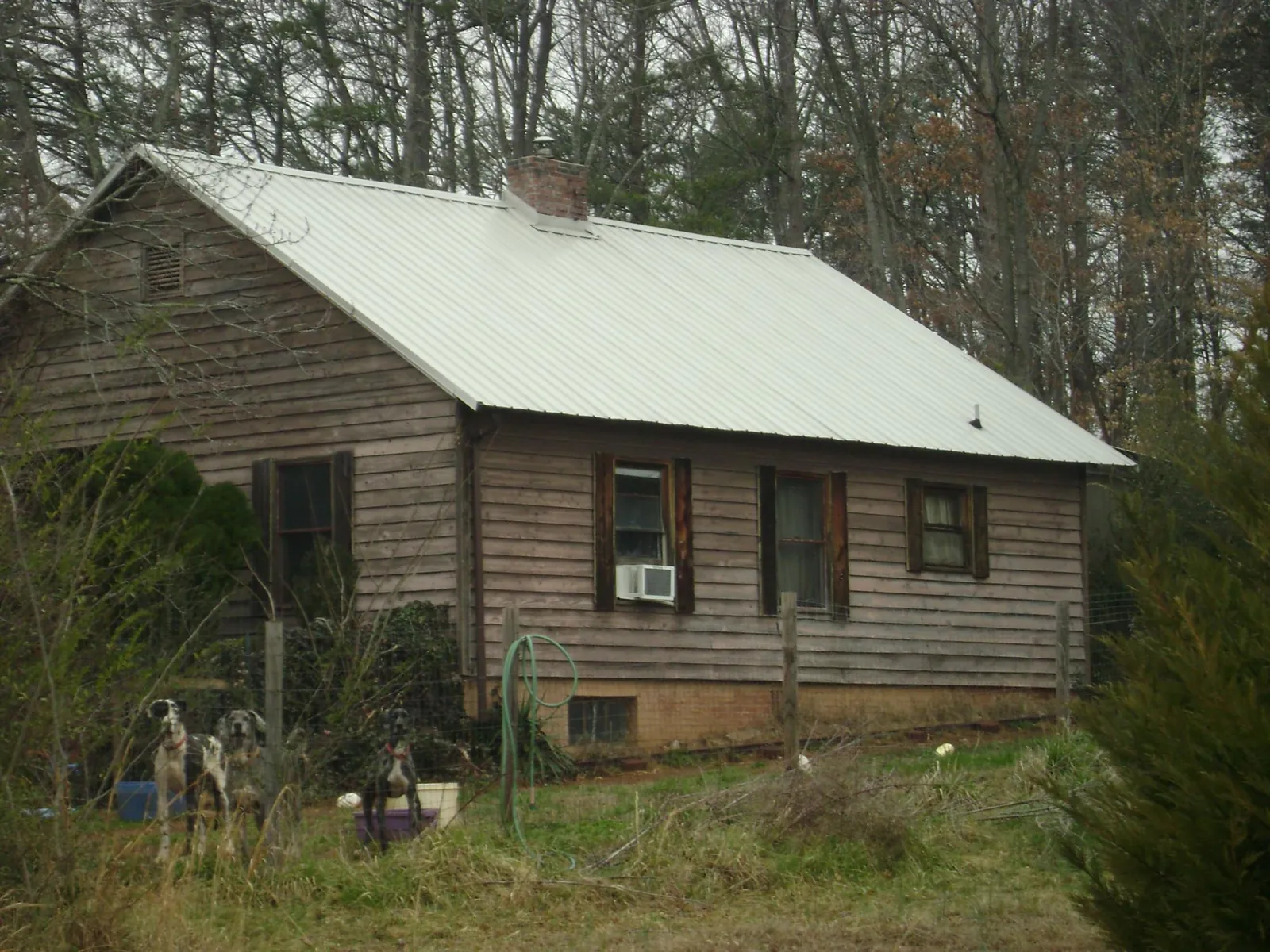 White metal roof on an old wood sided farmhouse, from a Asphalt Shingle Roof Repair job in Tillson